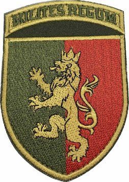 Patch 24th Separate Mechanized Brigade