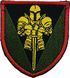 Patch 17th Separate Tank Brigade