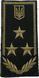 Rank Insignia Shoulder Board Customs Service Counsellor, 1st Rank (Velcro) olive