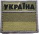 Flag State Border Guard Service pixel/black gray edge