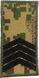Rank Insignia Shoulder Board Senior Sergeant (black thread, Velcro) predator