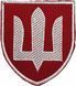 Шеврон ЗСУ Військова служба правопорядку