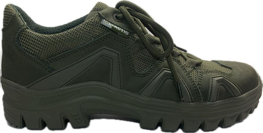 Кросівки тактичні In-Tactic Pro LW olive 40 boetc7136 фото