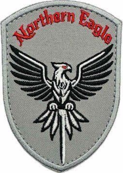 Шеврон 151 ОМБр Northern Eagle - батальйон безпілотних систем MechanizedForces-151BBS фото