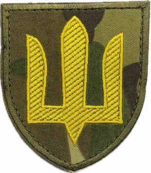 Шеврон ЗСУ Сухопутні війська мультикам/жовтий trident21 фото