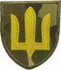 Chevron of the Armed Forces of Ukraine &ndash; Ground Forces (Multicam/Yellow)