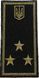 Rank Insignia Shoulder Board Customs Service Inspector, 2nd Rank (Velcro) olive