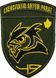 Patch 49th Training Center of Intelligence (full color)