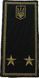 Rank Insignia Shoulder Board Customs Service Inspector, 3rd Rank (Velcro) olive