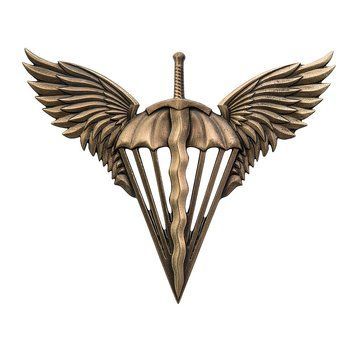 Беретний знак Десантно-Штурмові війська GRLD-0103 фото