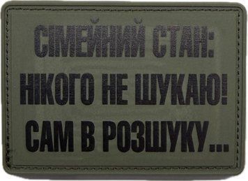 Souvenir Patch Marital Status: Not Looking for Anyone! Wanted by the Police Myself PVC