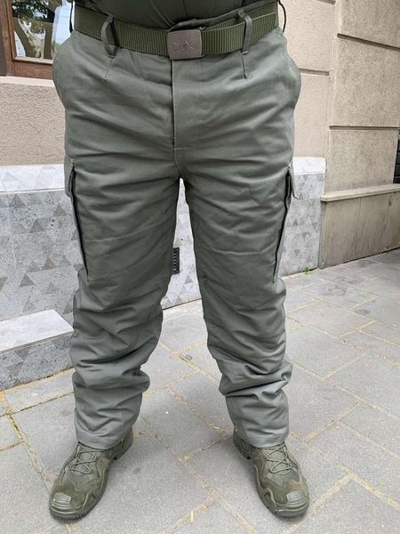 Штани зимові Mil-Tec Moleskin з утепленою підкладкою Folliage Green 54 boetc1111 фото