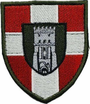 Naszywka 100 Oddzielna Brygada Zmechanizowana