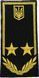 Rank Insignia Shoulder Board Customs Service Counsellor, 2nd Rank (yellow thread, Velcro)