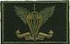 Patch Air Assault Forces Flag Olive