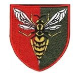 Шеврон 38-й зенітний ракетний полк колір