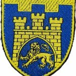 Шеврон 125 окрема бригада ТрО (Львівська область) кольоровий