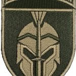 Шеврон International Legion Олива