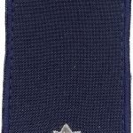 Погон Молодший лейтенант ДСНС ( на липучці)