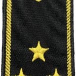 Погон Інспектор митної служби 2 рангу (нитка жовта, на липучці)