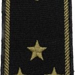 Погон Інспектор митної служби 2 рангу ( на липучці) Олива