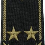 Погон Радник митної служби 2 рангу (на липучці) Олива